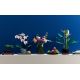 7. LEGO Icons 10311 - Orchidea
