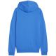 2. Bluza Puma Team Goal Casuals Hoody M 658618 02