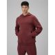 6. Bluza dresowa regular z kapturem męska 4F 4FRSS26TSWSM2793-60S