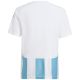 2. Koszulka dla dzieci adidas Striped 24 Jersey biało-błękitna IW2137