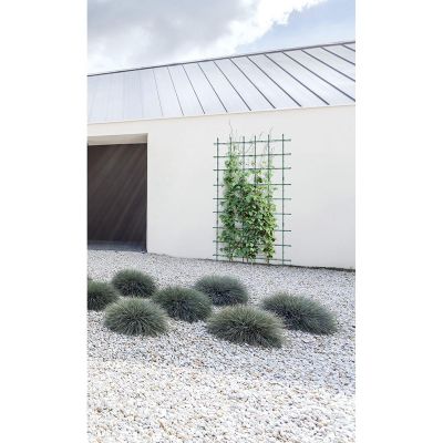 8. PODPORA DO ROŚLIN FLOO SUPPORTS 60x120CM ZIELONY LEŚNY