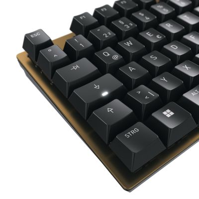 5. CHERRY KC 200 MX klawiatura Uniwersalne USB QWERTZ Niemiecki Czarny, Brąz