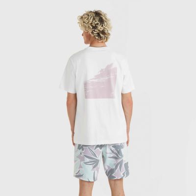 10. Koszulka O'Neill Og Bt T-Shirt M 92800613964