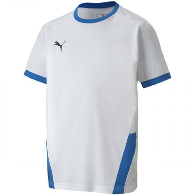 2. Koszulka Puma teamGOAL 23 Jersey Jr 704160 12