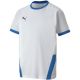 2. Koszulka Puma teamGOAL 23 Jersey Jr 704160 12