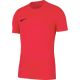 Koszulka dla dzieci Nike Dri-Fit Park VIII koralowa HV8182 635