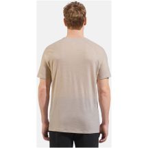 Koszulka z krótkim rękawem męska ODLO Ascent PW 130 Run. Bike. Hike. T-Shirt Crew Neck s/s szara