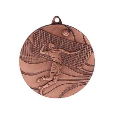 10. medal brązowy- siatkówka