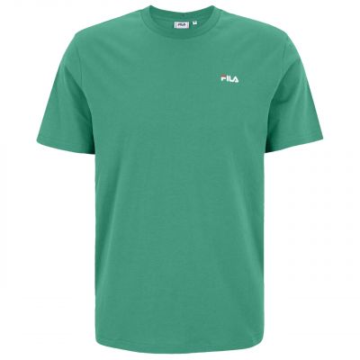 Koszulka Fila Laas Regular Tee M FAM0874 60084