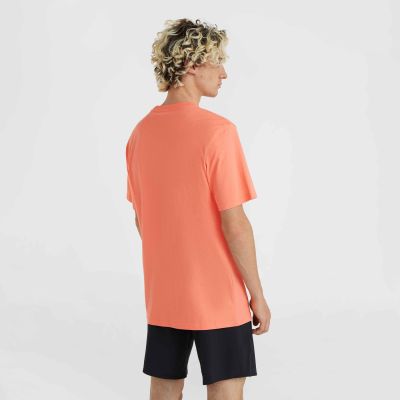 9. Koszulka O'Neill Jack Neon T-Shirt M 92800613602