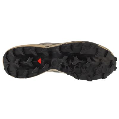 4. Salomon Speedcross 6 GTX L47853400 Szare 42