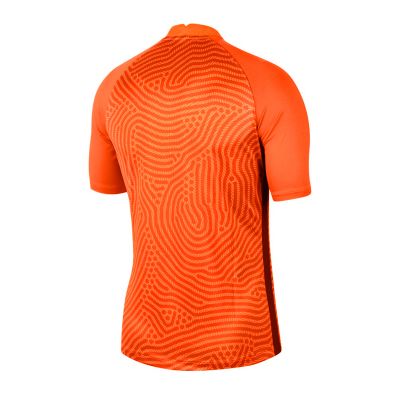 2. Koszulka bramkarska Nike Gardien III GK M BV6714-803
