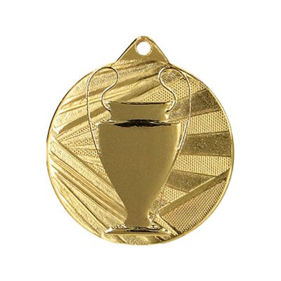 6. Medal złoty ogólny z pucharkiem