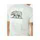 3. Koszulka RIP CURL Desti Animals Tee turkusowy
