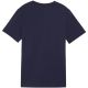 5. Koszulka Puma Team Goal Casuals Tee Jr 658616 06