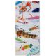 Bandana BUFF COOLNET UV® ALEXANDRA NICOLE FLIES   one size