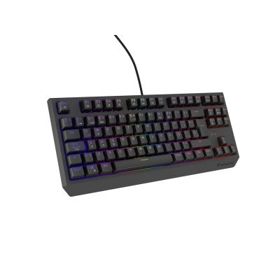 16. GENESIS Thor 230 TKL klawiatura Gaming USB QWERTY Hiszpański Czarny