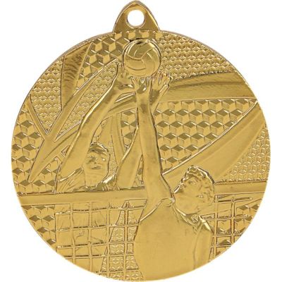 9. medal złoty- siatkówka