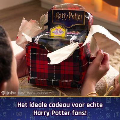 Interaktywny Harry Potter Bitzee