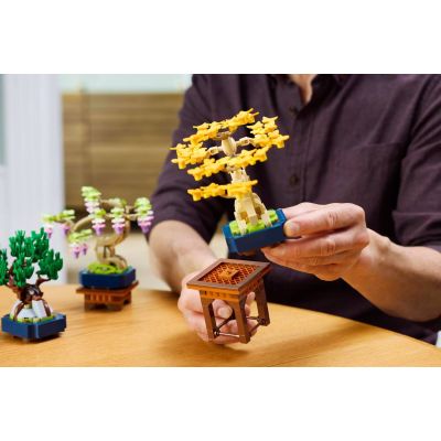 10. LEGO 10373 Botanical Collection - Małe drzewka Bonsai