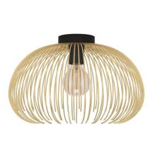 EGLO 900165 oświetlenie sufitowe E27 40 W