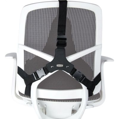 4. Fellowes Ergonomia  podpórka poduszka profesjonalna pod plecy