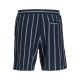 8. Jack&Jones męskie szorty w paski JPSTJAIDEN COBA STRIPE JOG SHORTS REG SN 12274413 SKY CAPTAIN/STRIPES