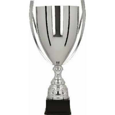 4. Puchar metalowy srebrny BASTERS