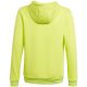 2. Bluza adidas Entrada 22 Hoody Jr HC5069