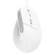 7. Mysz Trust BAYO II ERGONOMIC White