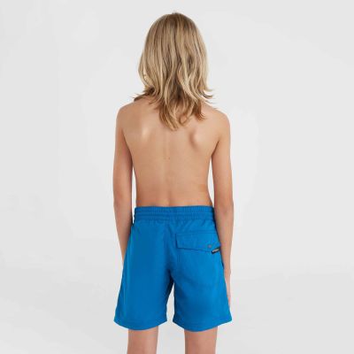 8. Szorty kąpielowe O'Neill Vert 14" Swim Shorts Jr 92800614215