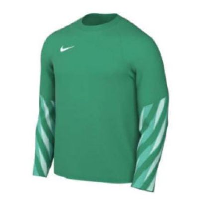 Koszulka z długim rękawem Nike Dri-FIT Park V HV8314-324