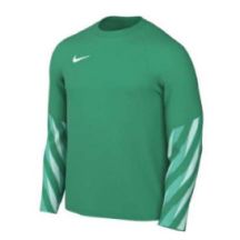 Koszulka z długim rękawem Nike Dri-FIT Park V HV8314-324