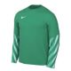 Koszulka z długim rękawem Nike Dri-FIT Park V HV8314-324