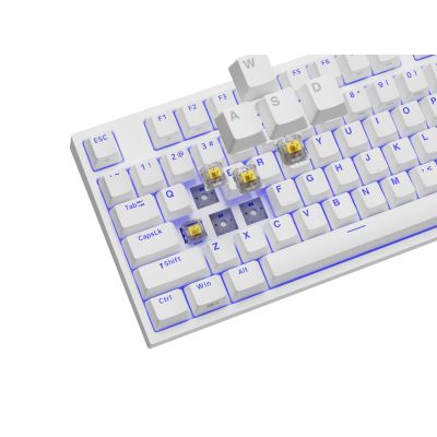 10. GENESIS Thor 404 TKL klawiatura Gaming USB QWERTY Amerykański międzynarodowy Biały