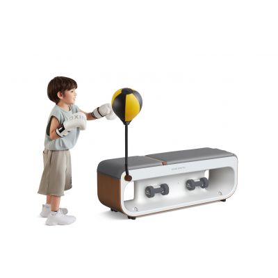 6. Multifunkcyjna ławka treningowa Kingsmith FBB1C