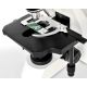 4. Mikroskop BRESSER OPTIK Durchlichtmikroskop BioScience Trino