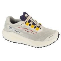 Salomon Aero Blaze 3 Grvl GTX W L47974100 Szare 38