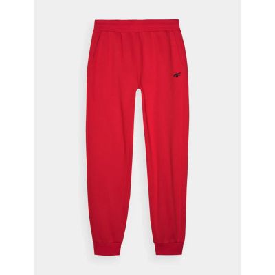 10. Spodnie dresowe 4F M 4FWMM00TTROM0943-70S