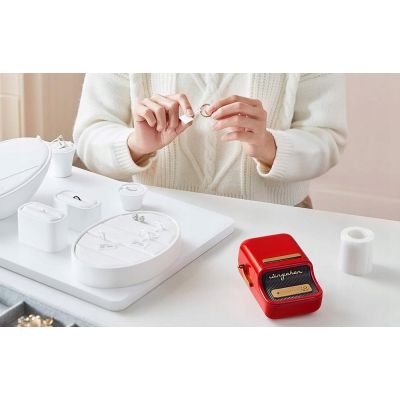 17. Drukarka etykiet Niimbot B21S Red
