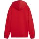 4. Bluza Puma Team Goal Casuals Hoddy Jr 658619 01