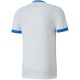 3. Koszulka Puma teamGOAL 23 Jersey M 704171 12