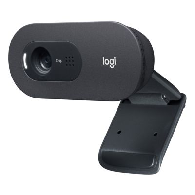Kamera LOGITECH C505E HD Webcam Black