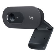 Kamera LOGITECH C505E HD Webcam Black