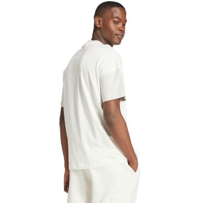 14. Koszulka adidas All SZN M JJ3679