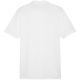 5. Koszulka Puma Team Goal Casuals Polo M 658605 04