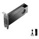 5. PNY RTX PRO 2000 Blackwell VCNRTXPRO2000-PB