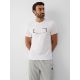 T-shirt slim z nadrukiem męski 4F 4FRAW26TTSHM4666-10S