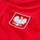 5. Koszulka Nike Poland Grand Slam M CK9205-688
