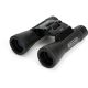2. Lornetka Celestron UpClose G2 16x32 50234712347